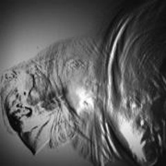 Micro blackdeath test run 1 layers