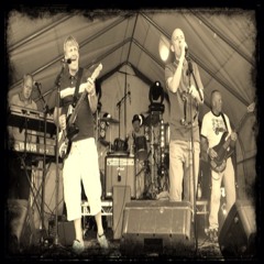 Butterfly Collective