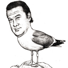 seagull vs seagal