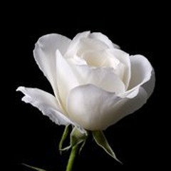 أضفيت على الحسن العبقا ..