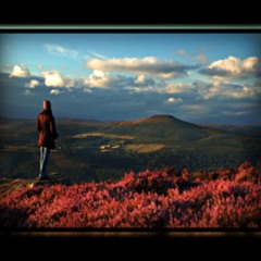 Courage To Persevere