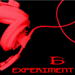 Experiment B