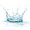 Dripping Moist