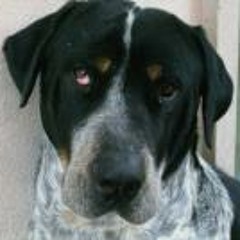 God is a Gabber - DHT.mp3