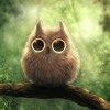 Avatars-000022228155-hinbix-large