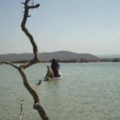 alaa moustafa attiah