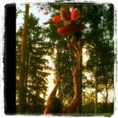 Karl Fredrik Jansson 1