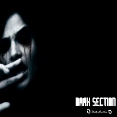 Dark Section