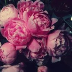 Alexandra Hovorková