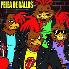 PELEA DE GALLOS