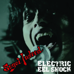 ELECTRIC EEL SHOCK