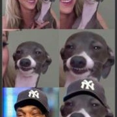 Sandrine Afonso-Huot