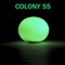 _Colony 55_