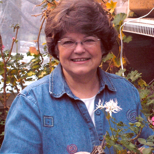 Stream Garden Tip Overwintering Cannas & Calla Lilies by Lawn