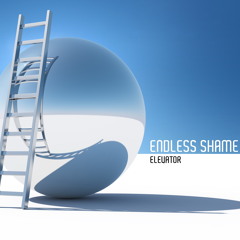 endlessshame