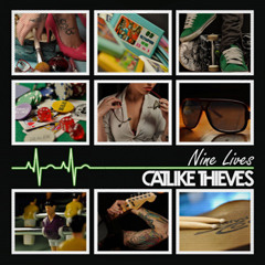 Catlike Thieves