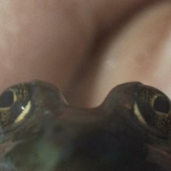 7.this beach knows asarco