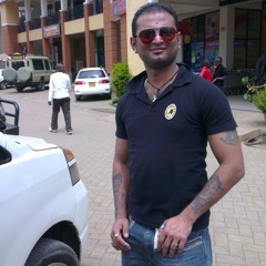 Notorious Chinchilla