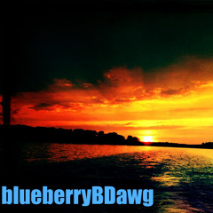 blueberryBDawg