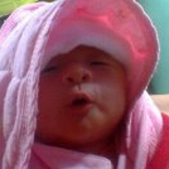 Sha dha nam-sha ra zha