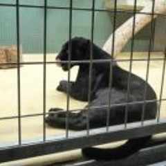 Jona Sophie Isenmann