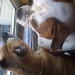 Benjamin Guerrero Jr.