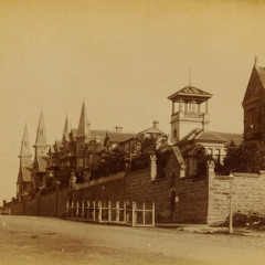 ScratchingSydneysSurface