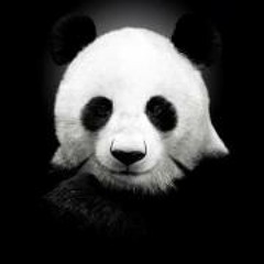 PandaBeatOfficial