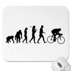 Jesús Gallego del Haya