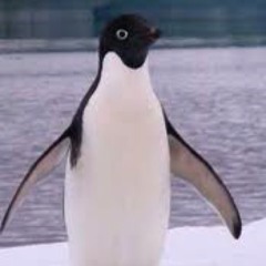 ChaunceyM