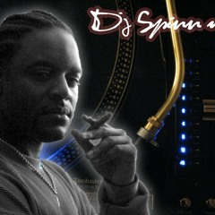 dj spinn mo