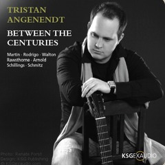 TristanGuitar