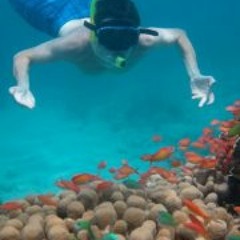 Martin Fournier-Bidoz