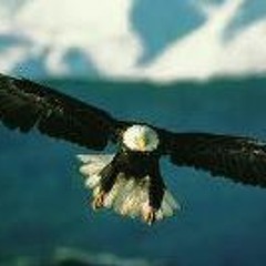 Cristian Luna Galvan