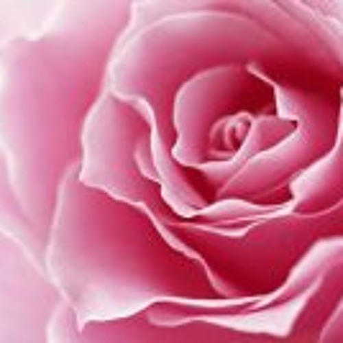 stream-eve-newman-listen-to-famous-quotes-playlist-online-for-free-on