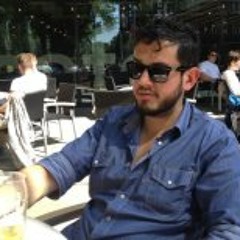 Eduardo J Guerrero L