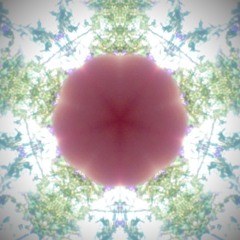 LifeLinesAffirmations