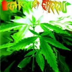 Alejandro Mstr Green