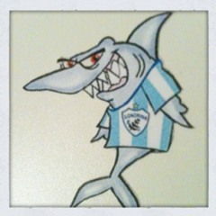 Torcida Tubarão Azul