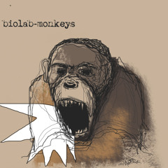 biolab monkeys