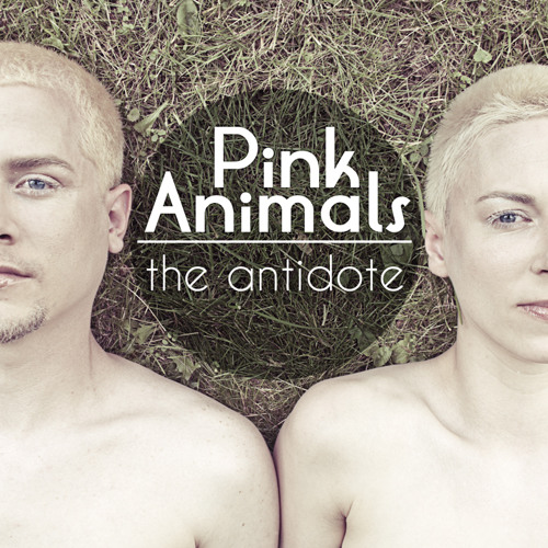 Pink Animals’s avatar
