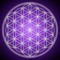 Conscious Rebellion