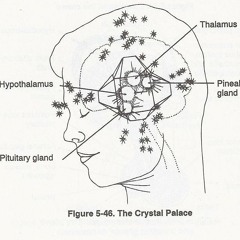 Dimethyl*Trill*Did*i*Lean