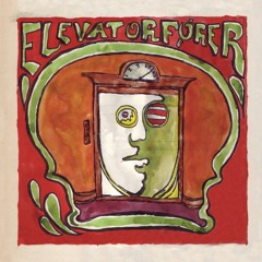 Elevatorfører