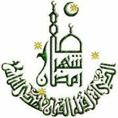 نوبى