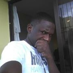 Laurice Bmg Favo Isnord