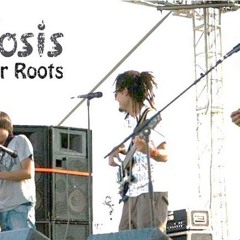 Sobredosis Power Roots