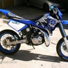 Alexandre Gonçalves 13