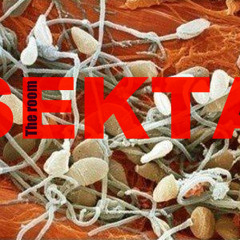 SEKTA 69