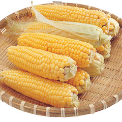 수박왕 - 삐뽀삐뽀뿡빵빵(무키무키만만수 리믹스)